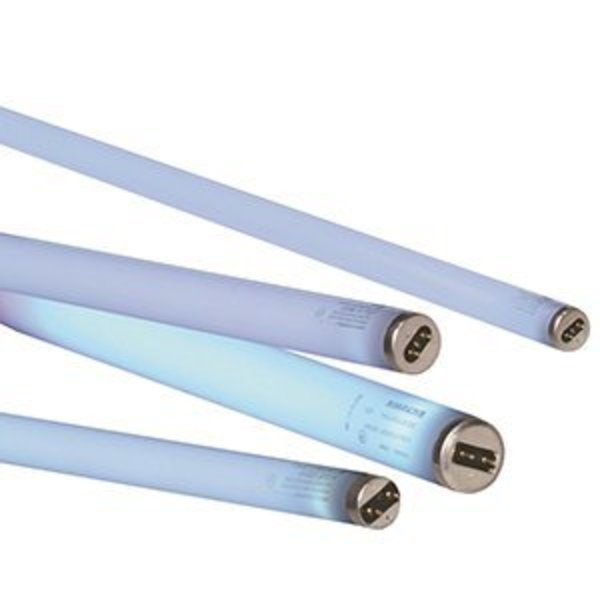 Glueboard Replacements - White (EL - 61), Gardner, Mfr#: EL-61